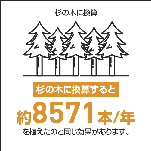 杉の木に換算すると役1235.8本